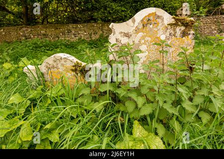 Due tombe / lapidi inghiottite da erbacce e erbe, probabilmente risalenti al 18th secolo. Foto Stock