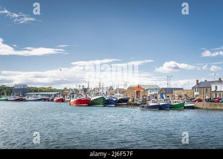 Diverse barche colorate ormeggiate nel porto di Howth. Attrezzatura per la pesca del phishing e della molluschicoltura su imbarcazioni da pesca, Dublino, Irlanda Foto Stock