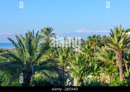 Vista delle vette innevate delle montagne ad ovest di Antalya sulla Riviera Turca Foto Stock