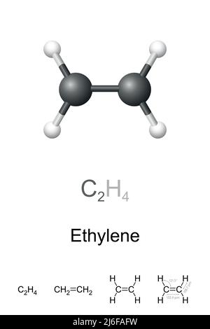Etilene, etene, modello a sfera e bastone, formula molecolare e chimica. Alchene più semplice. Il composto organico più prodotto in tutto il mondo nell'industria chimica. Foto Stock