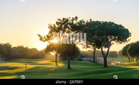 Bella serata di sole sul campo da golf Foto Stock