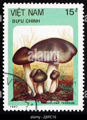 VIETNAM - CIRCA 1987: Un francobollo stampato in Vietnam mostra Cavaliere grigio, Tricholoma Terreum, funghi, circa 1987 Foto Stock