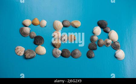 Conchiglie flatlay che formano la parola mare su sfondo blu Foto Stock