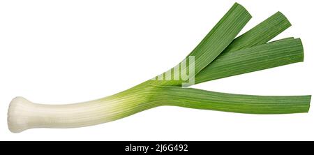 Porro isolato, cipolla verde su sfondo bianco, profondità di campo piena Foto Stock