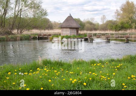 Trappole di anguilla e rifugio di pescatori sul River Test, Longstock, Stockbridge, Hampshire, Inghilterra Foto Stock