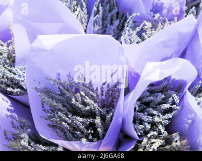 Fiori di lavanda pronti per la vendita Foto Stock