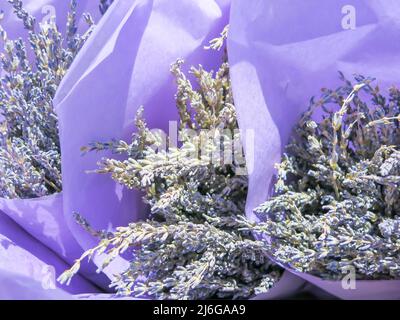 Fiori di lavanda pronti per la vendita Foto Stock