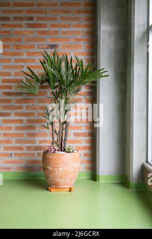 vaso in ceramica con una pianta fresca e naturale, muro in mattoni e pavimento colorato, decorazione interna, oggetti e natura Foto Stock