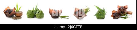 Set di gustosi muffin di cannabis su sfondo bianco Foto Stock