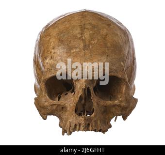 Antico cranio umano isolato su sfondo bianco Foto Stock