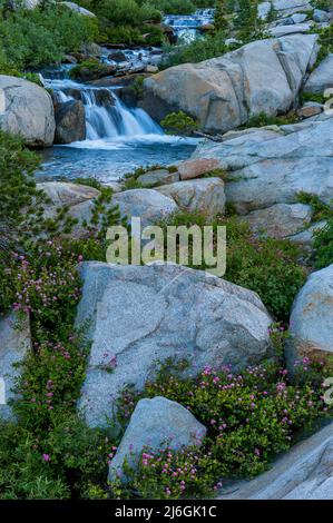 Cascate, Silver Creek, Twin Lakes, desolazione deserto, El Dorado National Forest, Sierra Nevada, in California Foto Stock