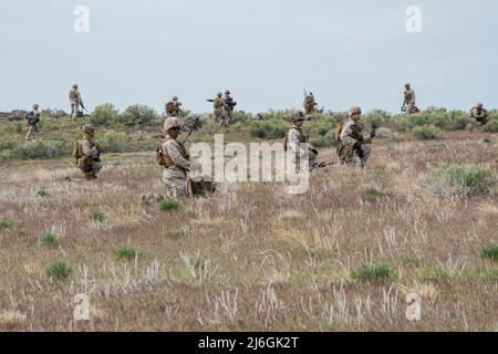 Il Joint Terminal Attack Controller e i Marines di fanteria assegnati al Battaglione 1st, 7th Marine Regiment, 1st Marine Division addestrati con il Regiment Aviation 183rd della Guardia Nazionale dell'Esercito Idaho il 28 aprile 2022 durante l'esercizio Garnett Rattler presso il Premier Orchard Combat Training Center dell'Idaho e il Saylor Creek Ranges. L'esercitazione, tenuta nell'Idaho 11-29 aprile 2022, è stata una missione congiunta fra i marines degli Stati Uniti, i soldati della guardia nazionale dell'esercito dell'Idaho, i 124th guardiani dell'ala del caccia e i 366th Airmen dell'ala del caccia dalla base aerea domestica della montagna per addestrare e qualificare i marines per essere più efficienti e letha Foto Stock