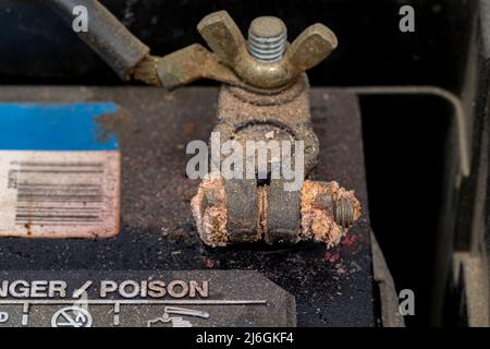Corrosione del terminale della batteria sulla batteria per uso automobilistico. Concetto di riparazione, manutenzione e assistenza del veicolo. Foto Stock