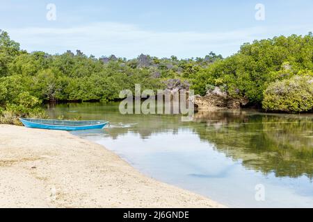 Foresta di mangrovie nell'isola di Rote, provincia di Nusa Tenggara Est, Indonesia Foto Stock