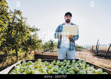 Giovane contadino latino telelavoro sul suo portatile accanto a un cestino di mele Foto Stock