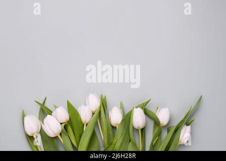 Sfondo primaverile con tulipani bianchi. Mockup per il biglietto d'auguri di primavera. Foto Stock