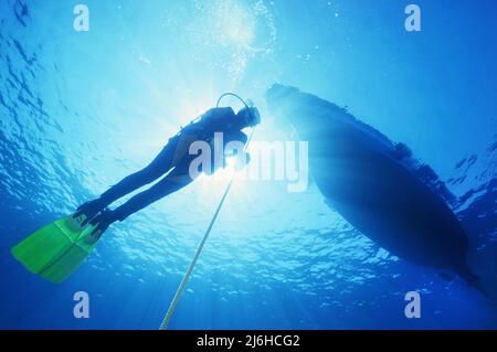 Subacqueo a safety-stop sulla catena di ancoraggio, Ajaccio, Corsica, Francia, Mar Mediterraneo, Europa Foto Stock