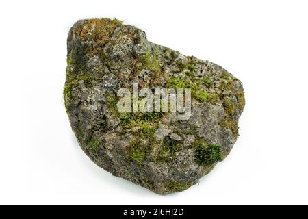 Vecchie pietre su sfondo bianco sono cresciute di muschio Foto Stock