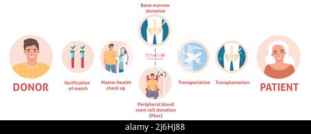Grafica informativa poster medico donazione midollo osseo Illustrazione Vettoriale
