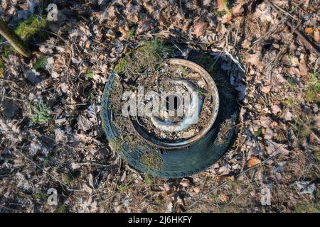 Pneumatico usurato e scaricato in una foresta Foto Stock