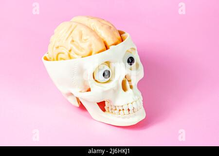 Cranio umano bianco artificiale con cervello e occhi su sfondo rosa chiaro. Testa scheletrica come simbolo di morte e decorazione di Halloween. Foto Stock