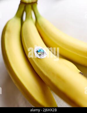 Mazzetto di Fairtrade banane Foto Stock