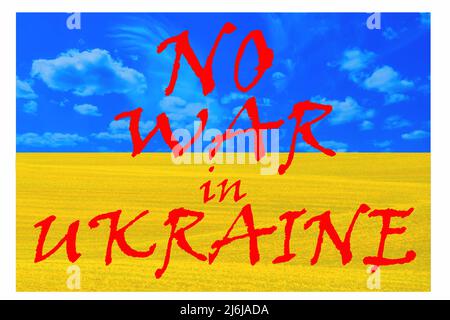 Bandiera dell'Ucraina raffigurante un cielo blu tranquillo con nuvole bianche e un campo seminato. L'aggressione militare della Russia contro l'Ucraina. Guerra, nessuna guerra in Ucraina Foto Stock