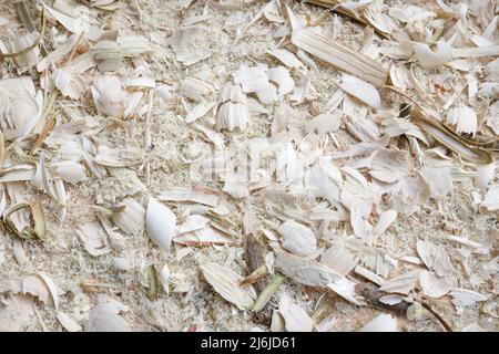 Legno e segatura su un banco da lavoro da tavolo come sfondo, Germania Foto Stock