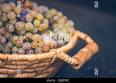 Cestino con uva in botte rustica di legno d'annata, tavola. Vinificazione Foto Stock