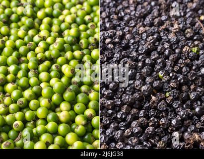grani di pepe nero crudo ed essiccato, ingrediente speziato e condimento isolato su sfondo bianco, closeup macro Foto Stock