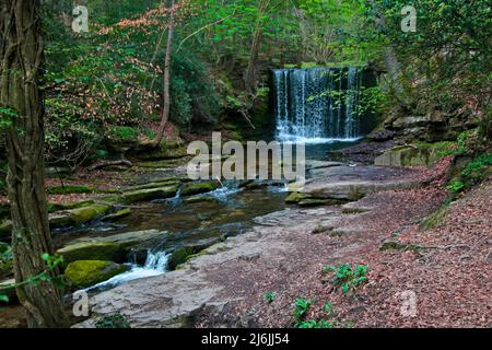 Plas Power Waterfall (Nant Mill e Bersham Waterfall), Plas Power Woods, Coedpoeth, Galles Foto Stock