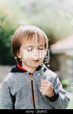 Il ragazzino soffia in dente di leone alla luce del sole Foto Stock