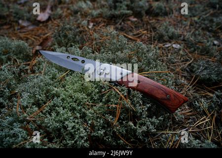 un coltello pieghevole giace sul muschio nella foresta Foto Stock