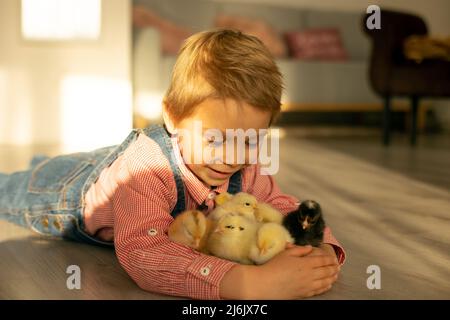 Bambino carino a casa con piccoli pulcini neonato, godendo, ragazzo carino e amico animale in una stanza soleggiata Foto Stock