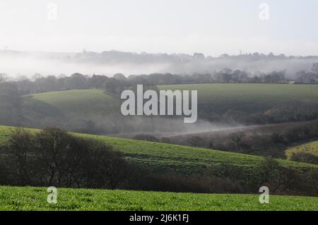 La nebbia del mattino presto pende in valli tra campi e boschi di siepi nella campagna della Cornovaglia. Foto Stock