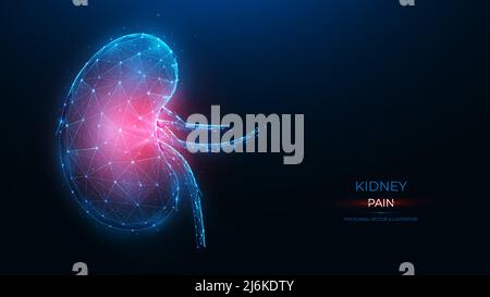 Illustrazione vettoriale poligonale di un rene umano infiammato su sfondo blu scuro. Malattie degli organi del sistema escretorio concetto. Urologica Illustrazione Vettoriale