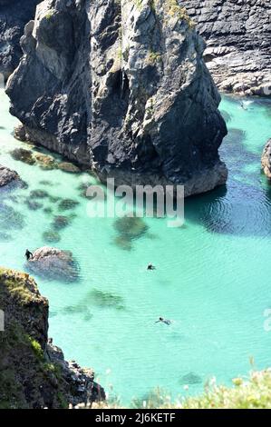 Kynance Cove, Cornovaglia - 20 luglio 202: Nuoto in Kynance Cove Foto Stock