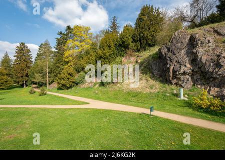 Parco del castello nella città ceca Kasterec nad Ohri con alberi esotici e il sentiero in primavera Foto Stock