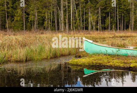 Bellissimo paesaggio di un lago con barca in una foresta. Whonnock Lake Provincial Park vicino alla città di Mission nella British Columbia, Canada. Foto di viaggio, Foto Stock