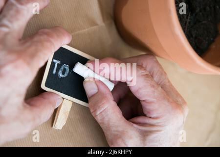 Primo piano delle mani di una donna caucasica anziana che scrive la parola pomodoro su un piccolo cartello da lavagna per ricordare. Foto Stock