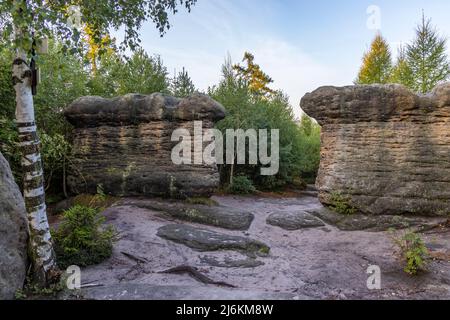 Funghi di pietra in una riserva naturale Broumovske steny, Boemia orientale, Repubblica Ceca Foto Stock