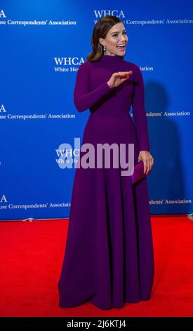 30 aprile 2022, Washington, District of Columbia, USA: Sophia Bush arriva per la cena annuale 2022 della White House Correspondenti Association presso il Washington Hilton Hotel sabato 30 aprile 2022. Questa è la prima volta dal 2019 che la WHCA ha tenuto la sua cena annuale a causa della pandemia COVID-19 (Credit Image: © Rod Lamkey/CNP via ZUMA Press Wire) Foto Stock