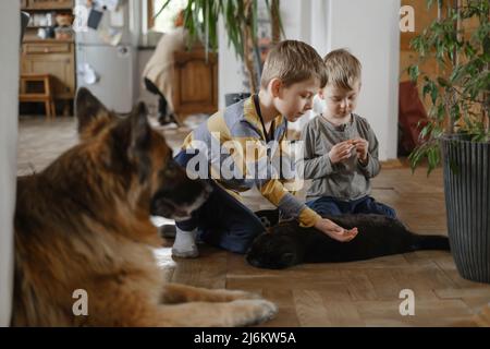 I bambini giocano, accarezzano il gatto nero mentre il cane pastore tedesco si siede vicino a casa. Bambini che hanno animali domestici e che si prendono cura di loro