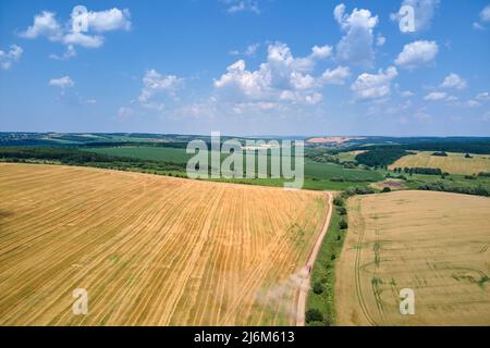 Vista aerea del cargo truck che guida su strada sterrata tra campi di grano agricolo facendo molta polvere. Trasporto di grano dopo essere stato raccolto da Foto Stock