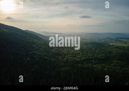 Vista aerea della pineta verde con abeti scuri che coprono le colline di montagna al tramonto. Paesaggio boschivo del nord dall'alto Foto Stock