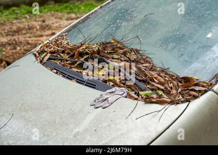 Primo piano del parabrezza anteriore di un'auto abbandonata Foto Stock