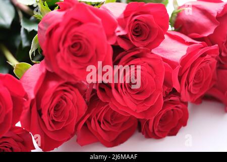 Bouquet di lusso in rose rosse, negozio di fiori Foto Stock