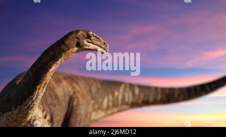 Plateosaurus engelhardti, dinosauro dell'epoca tardo-triassica Foto Stock