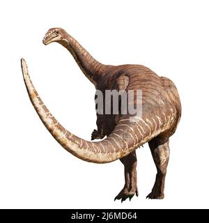 Plateosaurus, dinosauro dell'epoca tardo-triassica, isolato su sfondo bianco Foto Stock