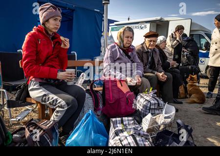 I rifugiati ucraini hanno raggiunto il confine con la Moldavia a Palanka. Da qui vengono portati da piccoli autobus a un punto di raccolta dove vengono forniti bevande e cibo. I pullman accompagnano poi i rifugiati in Romania e in altri paesi europei ospitanti. Foto Stock